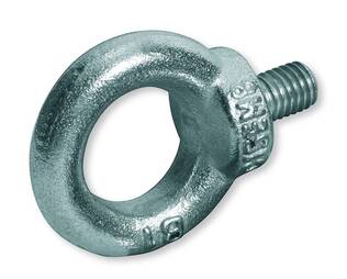 RENGASRUUVI DIN 580 - Rengasruuvi Din 580 zn - 55010051P - 1